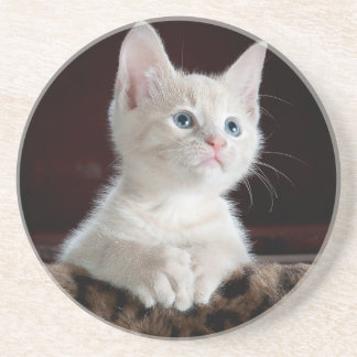 Sandstone Underlägg älskare katter, för flickor/gå