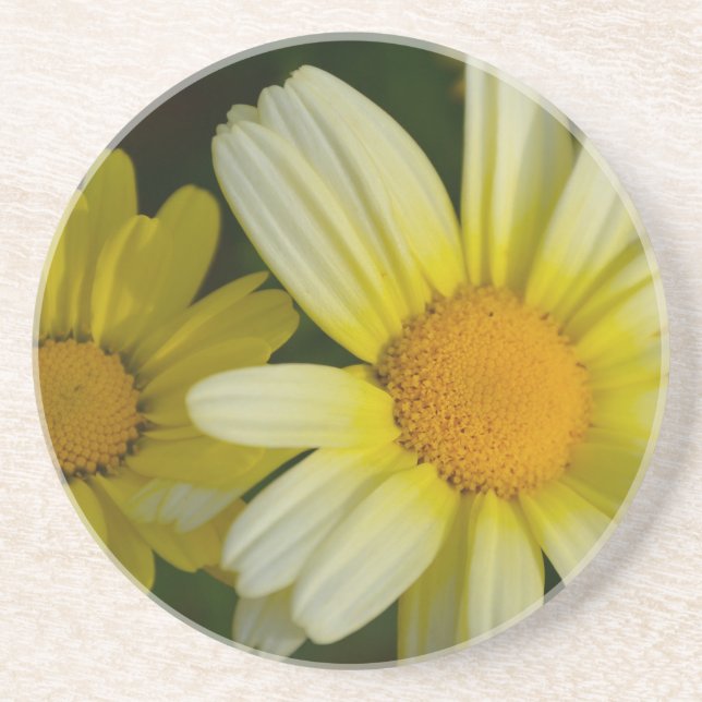 Sandstone underlägg sandsten (Framsidan)