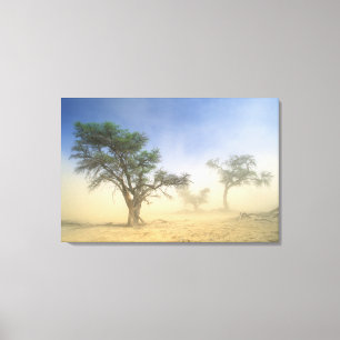 Sandstorm i Kalahariöknen, Kgalagadi Canvastryck