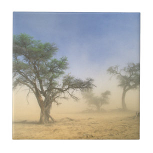 Sandstorm i Kalahariöknen, Kgalagadi Kakelplatta