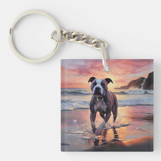 Sandy Amerikansk Staffordshire Terrier på Strand S (Framsidan)