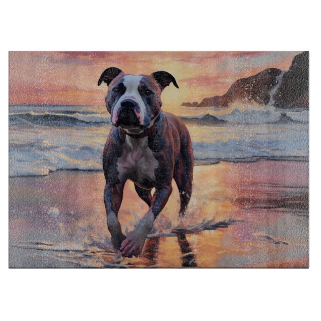 Sandy Amerikansk Staffordshire Terrier på Strand S (Framsidan)