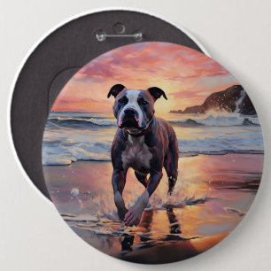 Sandy Amerikansk Staffordshire Terrier på Strand S Knapp