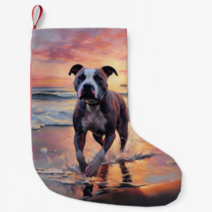 Sandy Amerikansk Staffordshire Terrier på Strand S Liten Julstrumpa