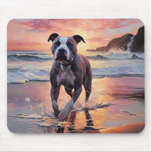 Sandy Amerikansk Staffordshire Terrier på Strand S Musmatta