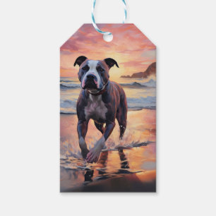 Sandy Amerikansk Staffordshire Terrier på Strand S Presentetikett