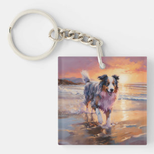 Sandy Australian shepherd Hund på Beach Sunset