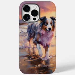 Sandy Australian shepherd Hund på Beach Sunset
