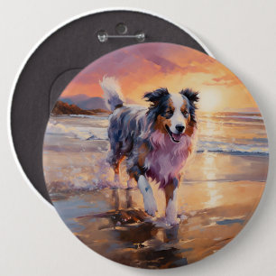 Sandy Australian shepherd Hund på Beach Sunset Knapp