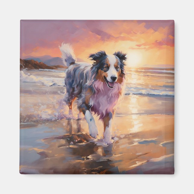 Sandy Australian shepherd Hund på Beach Sunset Magnet (Framsidan)