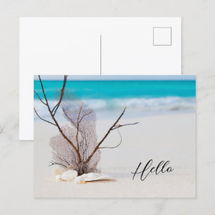 Sandy Beach med White Seashells Hej Vykort