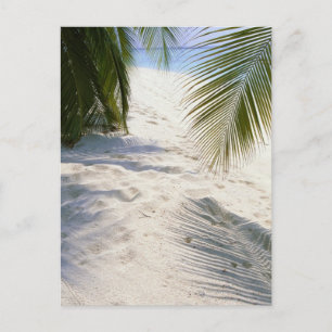 Sandy Beach Vykort