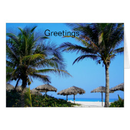 Sandy Beach with Handflatan Träd and An Ocean View OBS Kort