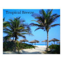 Sandy Beach with Handflatan Träd och An Ocean View