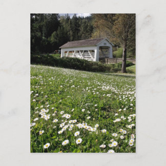 Sandy Cr. Täckt brygga Vykort