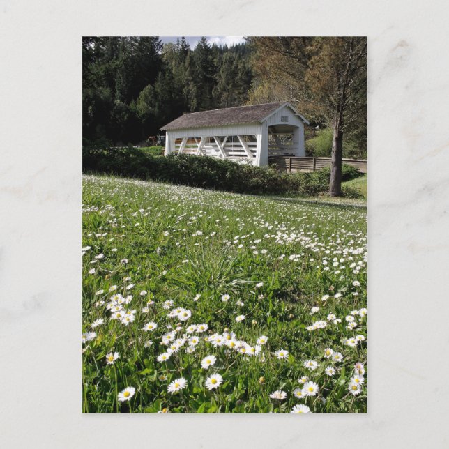 Sandy Cr. Täckt brygga Vykort (Framsida)