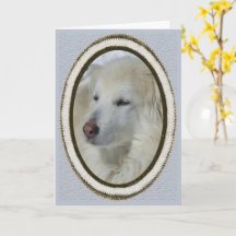 *Sandy Hund - du saknas