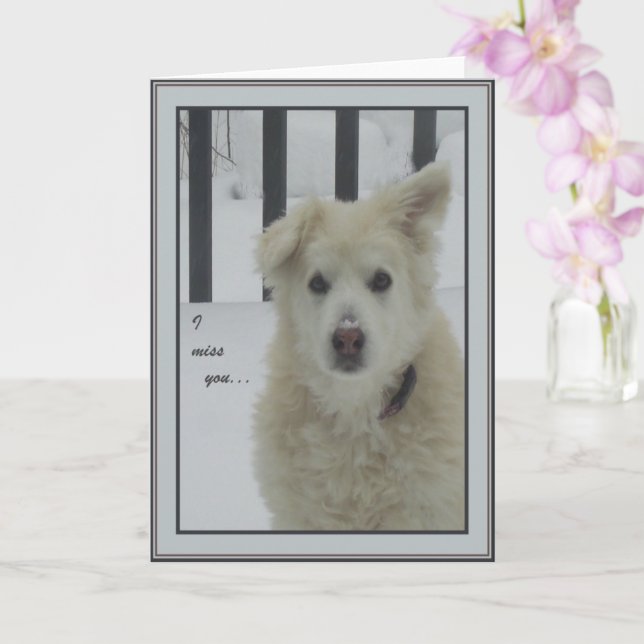 *Sandy Hund - jag saknar dig Kort (Orkide)