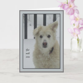 *Sandy Hund - kom snart Kort