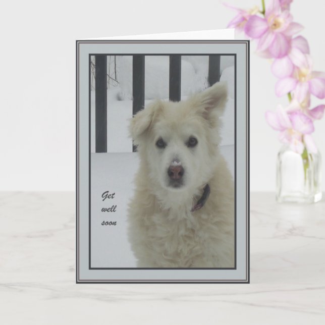 *Sandy Hund - kom snart Kort (Orkide)