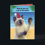 Sandy Klo-katten på Beach-julen Helgkort<br><div class="desc">Vad kallar du en katt på stranden? Sandy Klo! Ho! Ho! Ho! Lustigt kort för kattälskare och fånig-åsna/pun-älskare. Vem kan motstå den här söta siamesiska katten med en julhatt?</div>