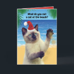 Sandy Klo-katten på Beach-julen Helgkort<br><div class="desc">Vad kallar du en katt på stranden? Sandy Klo! Ho! Ho! Ho! Lustigt kort för kattälskare och fånig-åsna/pun-älskare. Vem kan motstå den här söta siamesiska katten med en julhatt?</div>