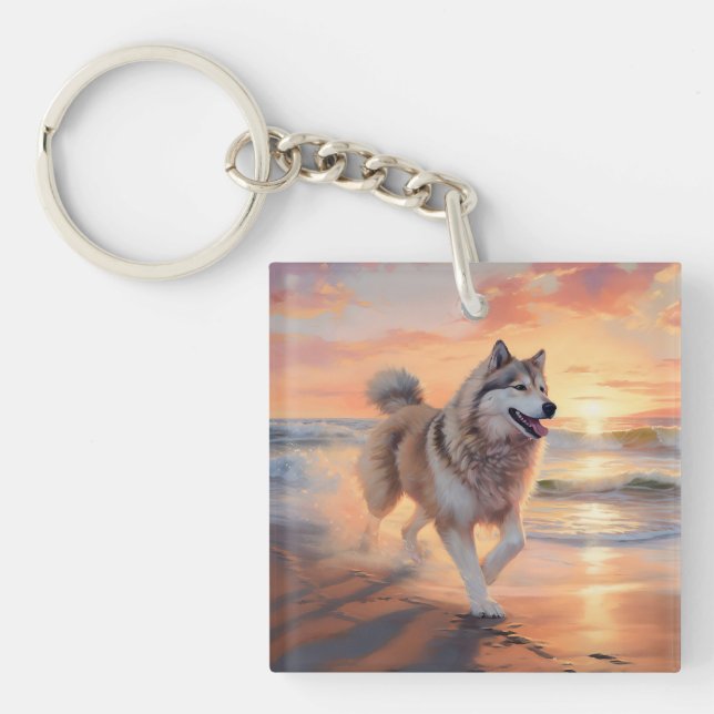 Sandy Paws Alaskan Malamute Hund på Strand Solnedg (Framsidan)