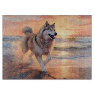 Sandy Paws Alaskan Malamute Hund på Strand Solnedg