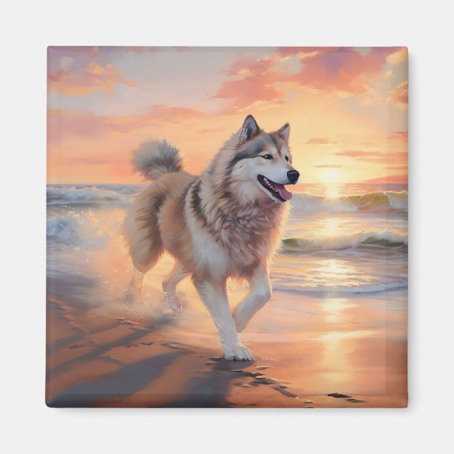 Sandy Paws Alaskan Malamute Hund på Strand Solnedg Magnet (Framsidan)