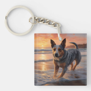 Sandy Paws Australian Cattle Dog på strand vid sol