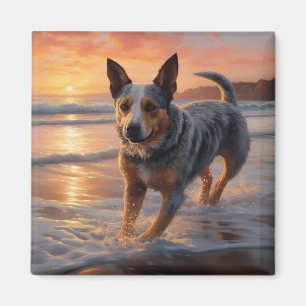 Sandy Paws Australian Cattle Dog på strand vid sol Magnet