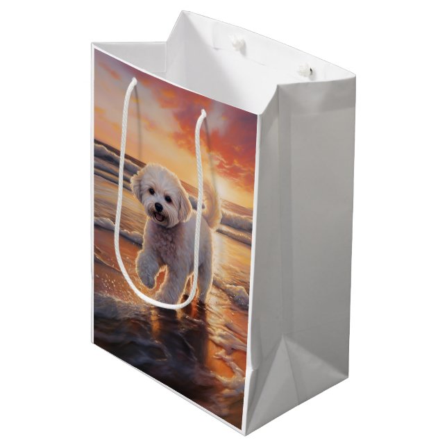 Sandy Paws Bichon Frise Hund på Strand Solnedgång (Framsidan Vinklad)