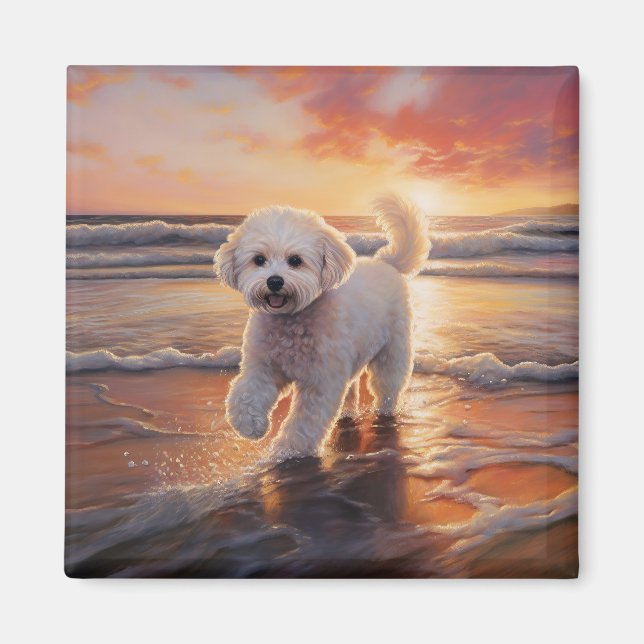 Sandy Paws Bichon Frise Hund på Strand Solnedgång Magnet (Framsidan)