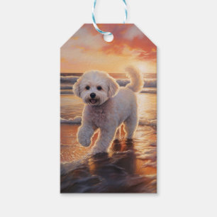 Sandy Paws Bichon Frise Hund på Strand Solnedgång Presentetikett