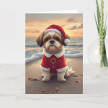 Sandy Paws & Holiday Cheer – Lille strandtomte