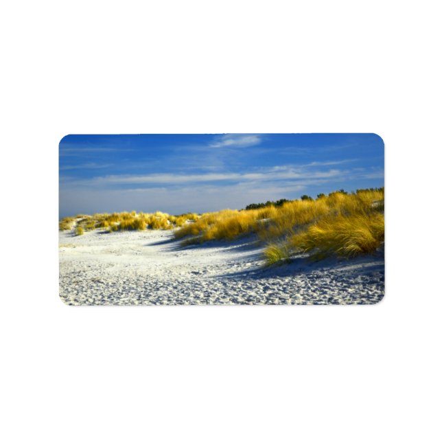 Sandy Sea Shore Island Dunes Adressetikett (Framsidan)