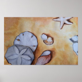 Sandy Seashells Poster
