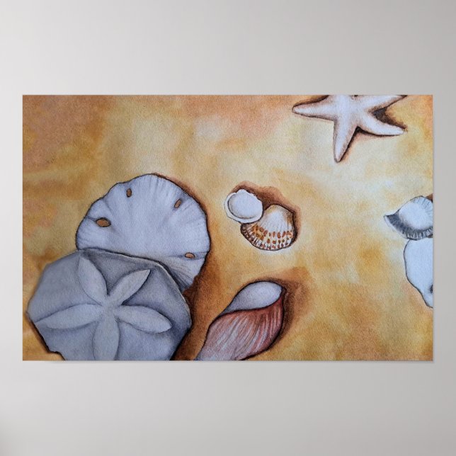 Sandy Seashells Poster (Framsidan)