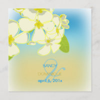 Sandy strand/plumerias destinationsbröllop