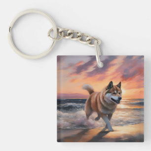 Sandy Tassar Akita Hund on Beach Sunset