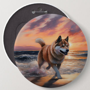 Sandy Tassar Akita Hund on Beach Sunset Knapp