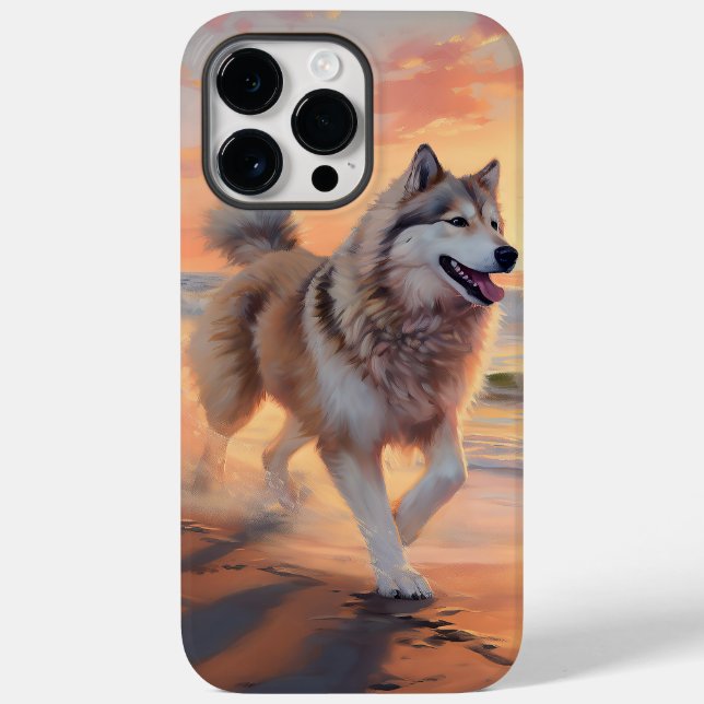 Sandy Tassar Alaska Malamute Hund on Beach Sunset (Baksida)