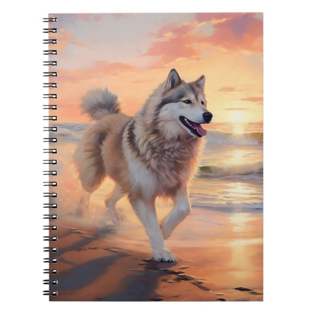Sandy Tassar Alaska Malamute Hund on Beach Sunset Anteckningsbok (Framsidan)