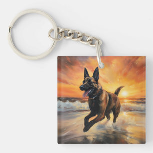Sandy Tassar Belgium Malinois Hund on Beach Sunset