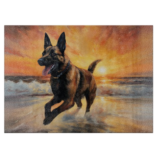 Sandy Tassar Belgium Malinois Hund on Beach Sunset (Framsidan)