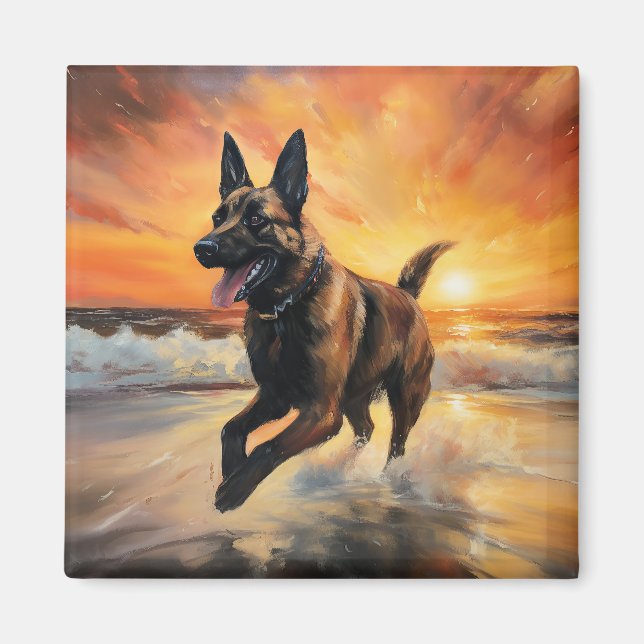 Sandy Tassar Belgium Malinois Hund on Beach Sunset Magnet (Framsidan)