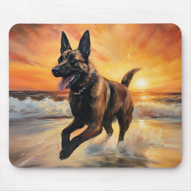 Sandy Tassar Belgium Malinois Hund on Beach Sunset Musmatta (Framsidan)