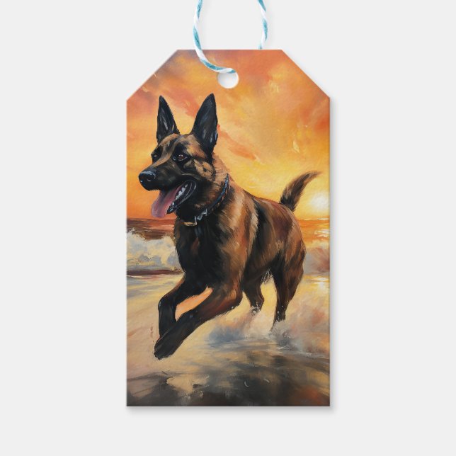 Sandy Tassar Belgium Malinois Hund on Beach Sunset Presentetikett (Framsidan)