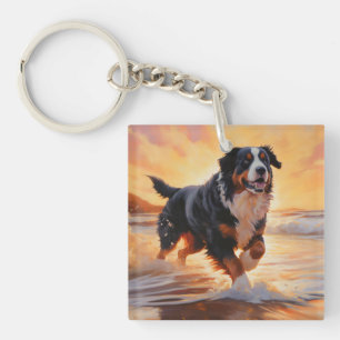 Sandy Tassar Bernese Mountain Hund on Beach Sunset