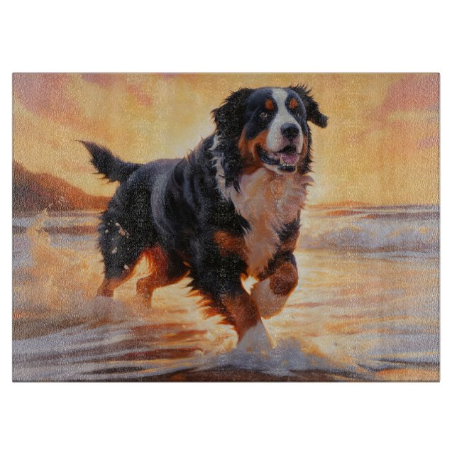 Sandy Tassar Bernese Mountain Hund on Beach Sunset (Framsidan)